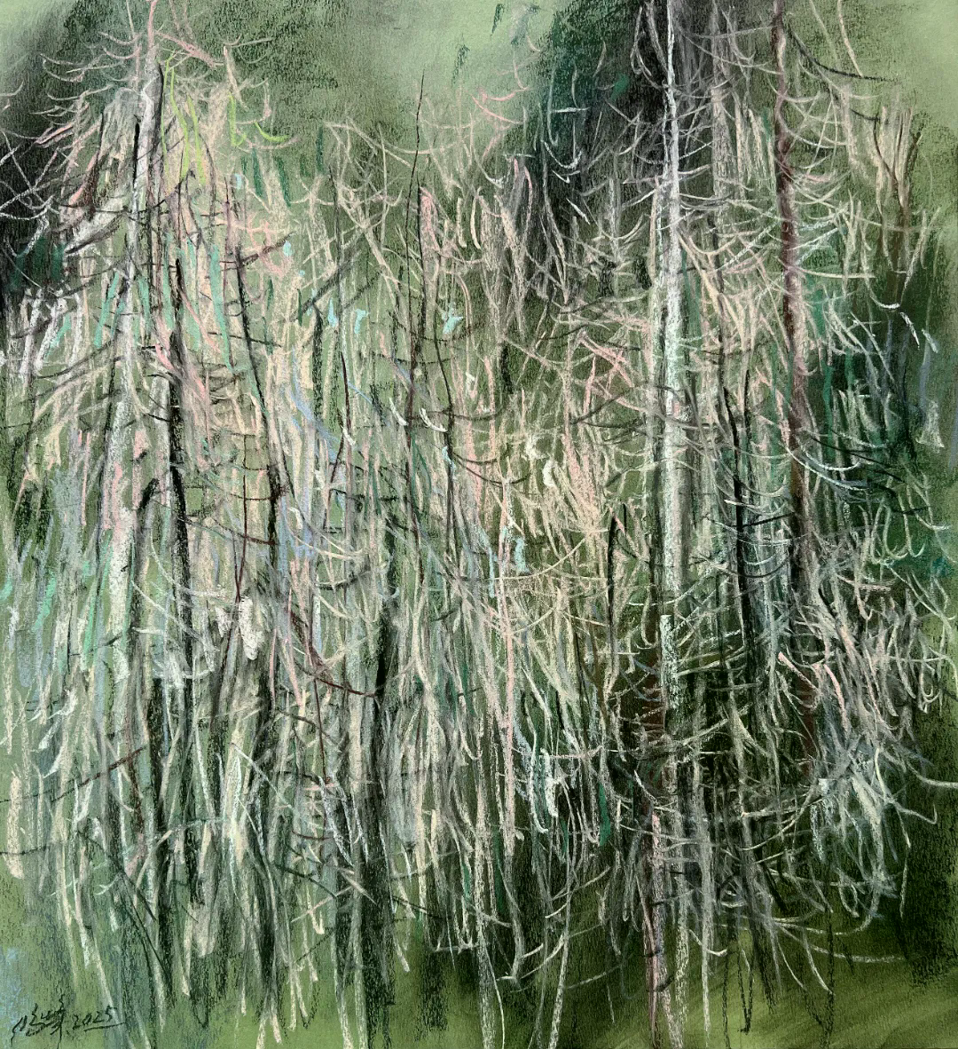 高鸣峰  森·林No.233  纸本色粉  41cm × 45cm 2025.jpg