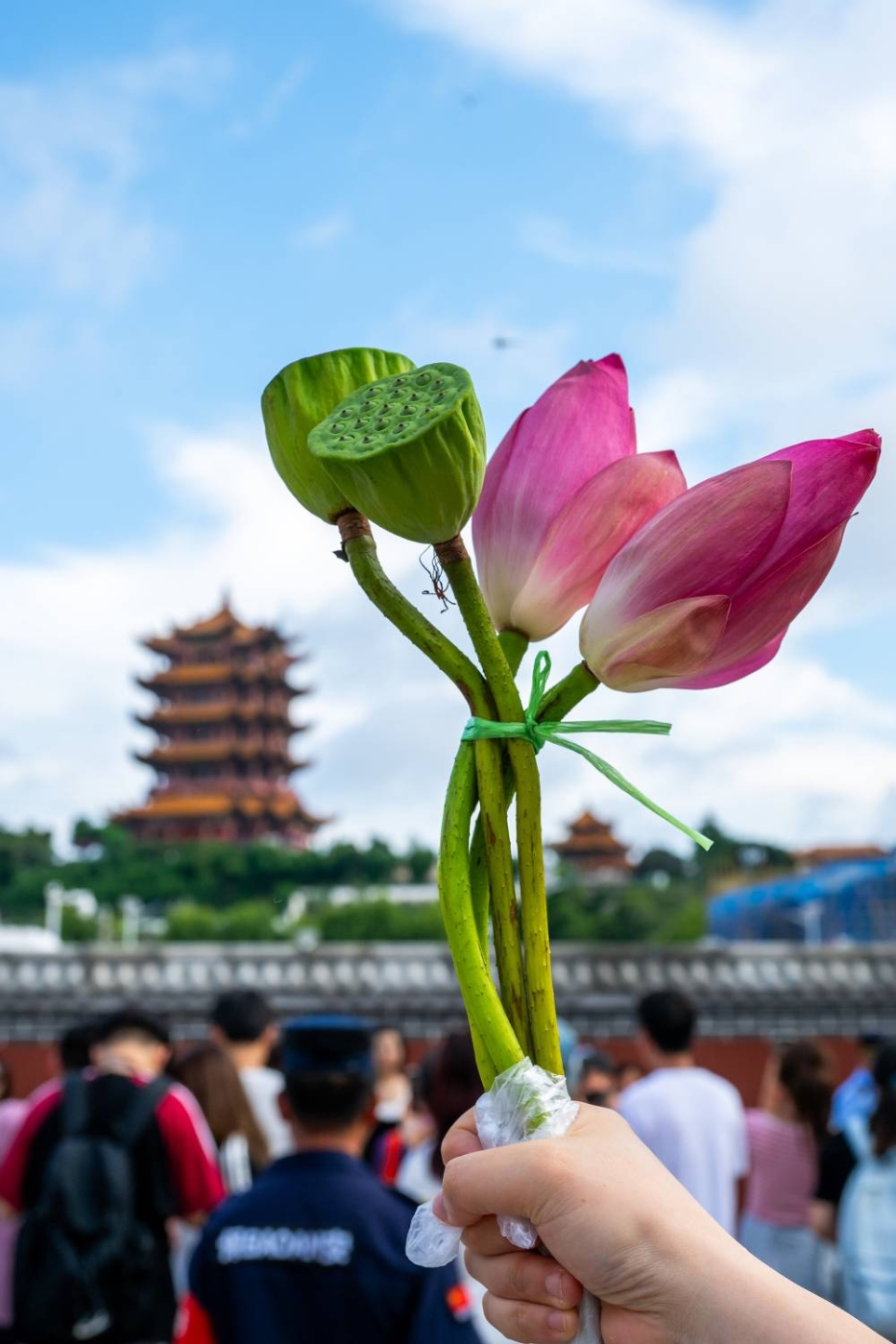 季飞《黄鹤楼的礼物》 组照 (7)
