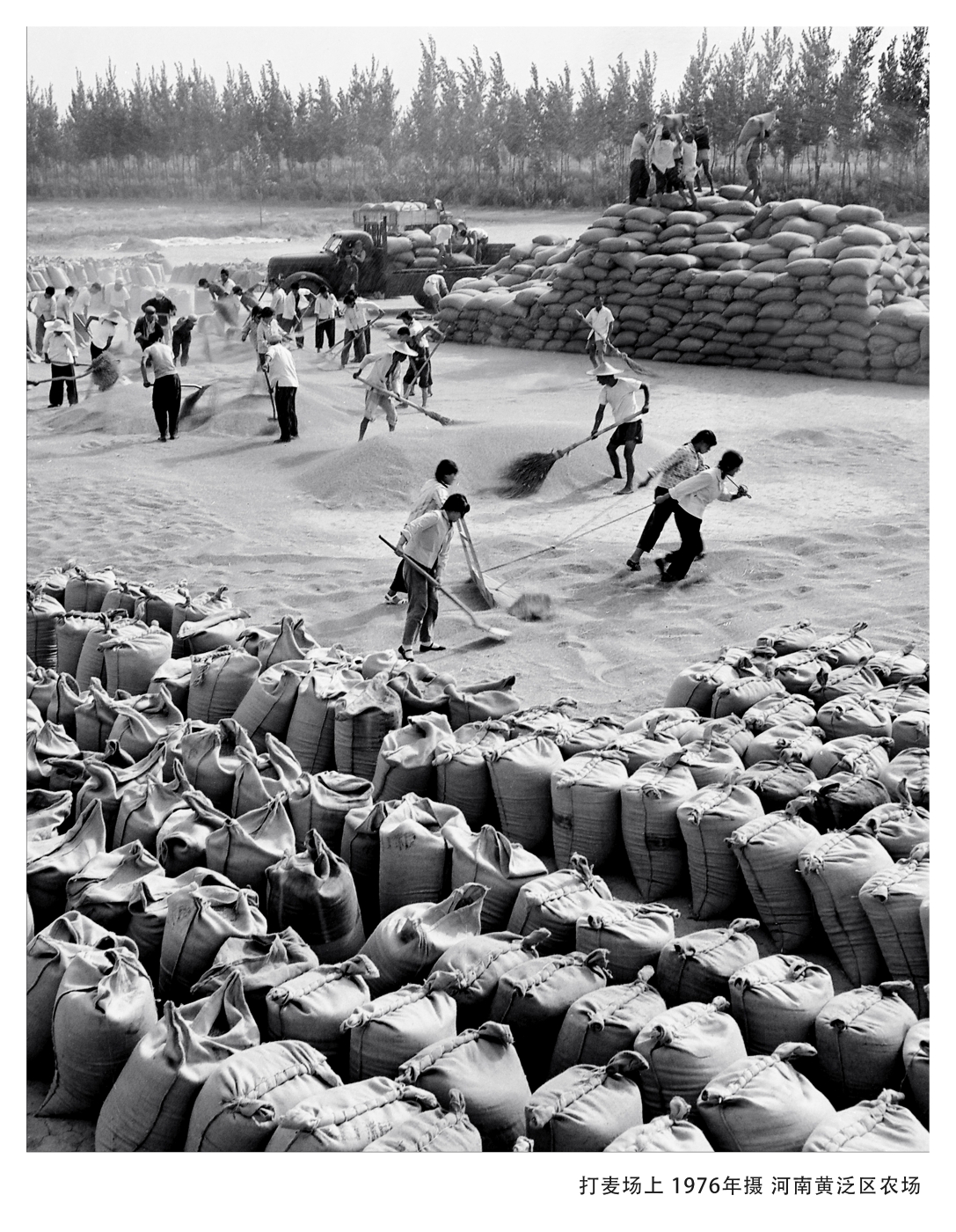 005《打麦场上》1977年入选全国摄影艺术展览
