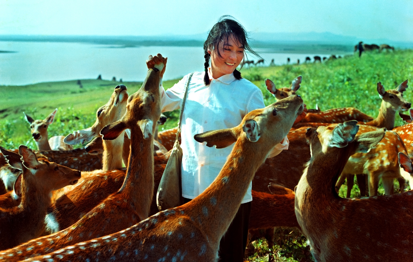 007《精心饲养》获得全国摄影比赛铜奖