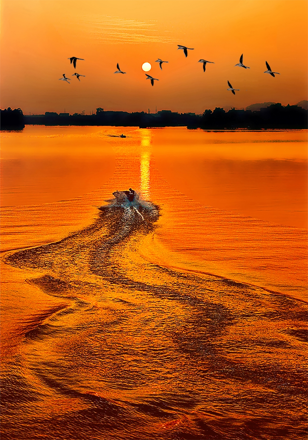 010《追日》2024年在新加坡四地国际摄影巡回展中荣获金牌